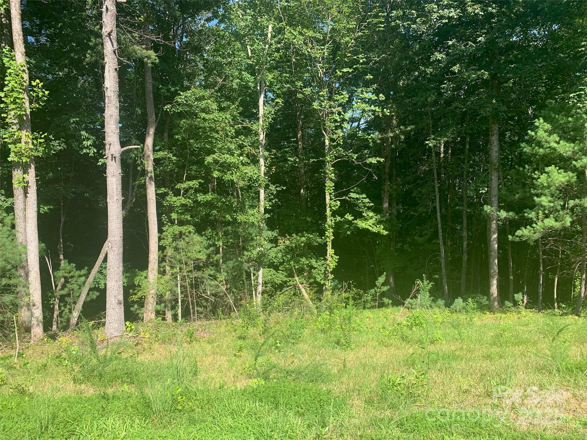 2.32 acres Lot 72 Round Mountain Parkway 72