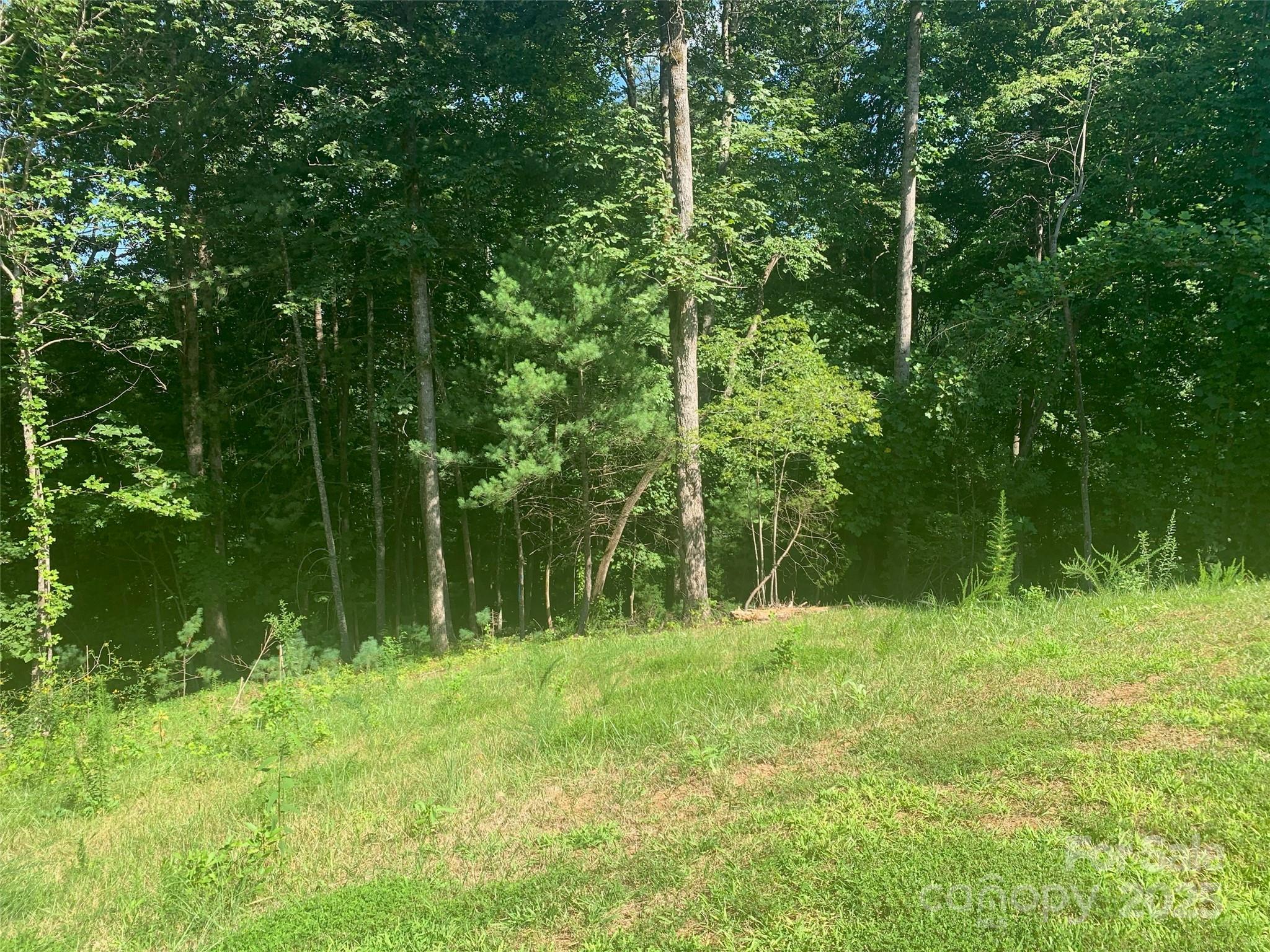 2.32 acres Lot 72 Round Mountain Parkway 72