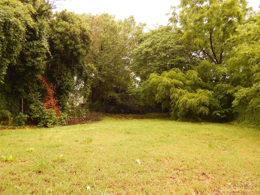 Near Uptown for development!  Great location for your income producing property! Near Johnson C. Smith University and it could be a great location for renting to the students. Don't miss this opportunity to purchase this property!  Near I-77 and Bojangles and other restaurants and businesses, Investment property for you, the front road is paved and water and sewer near the area.  Lot is zoned N2-B for duplex or single family.