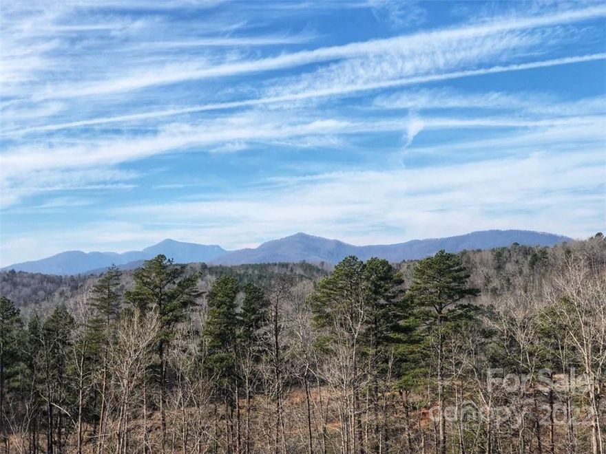 This 34-acre tract boasts breath-taking min views and is situated in the mesmerizing foothills of Rutherford County. This must-see property provides multiple home sites, flowing streams, waterfalls, and an abundance of privacy and seclusion. This is unrestricted and is nestled by large tracts of land – one of which is 1200+ acres. Sections of the prop have been clear-cut to provide access to bldg sites, but buffers remain along the stream. There is a contract in place with the timber co to replant the clear-cut sections in the 2021. The est. growth for the replant is approx. 2’/yr. One of the homesites is approx. 10-acre and has not been cleared. There is a small waterfall at the entrance to the property and a larger one approx. 20’ in height located farther back. There is a creek that is approx. 4-5 feet wide and several other streams that run through the property. Prop offers long range mtn and valley views as well.  Call agent for directions.  Please do not disturb the neighbor.