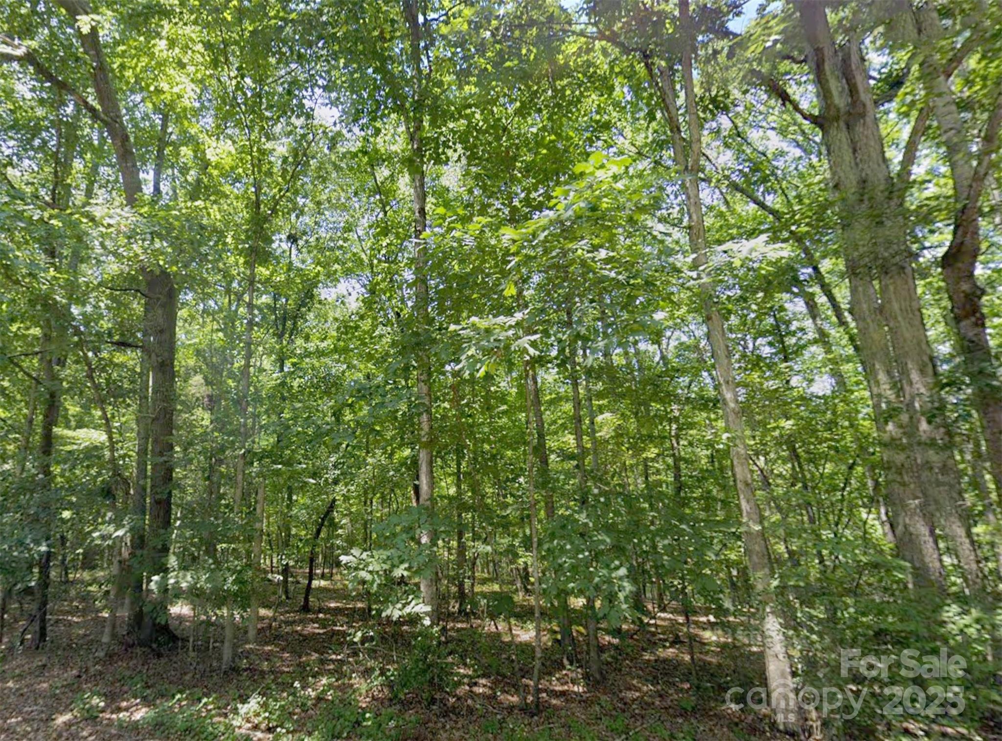 110 Sandy Point Drive