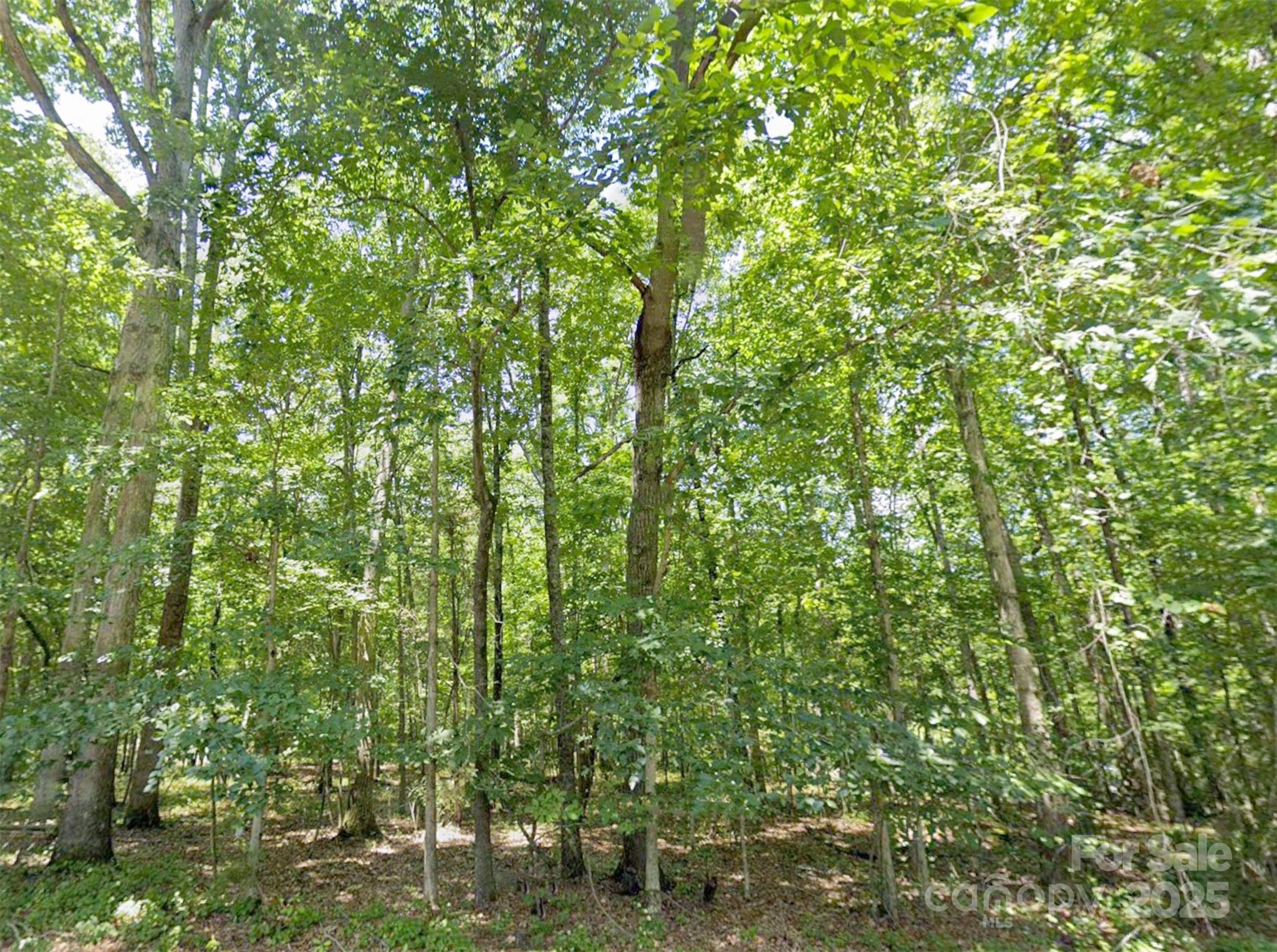 110 Sandy Point Drive