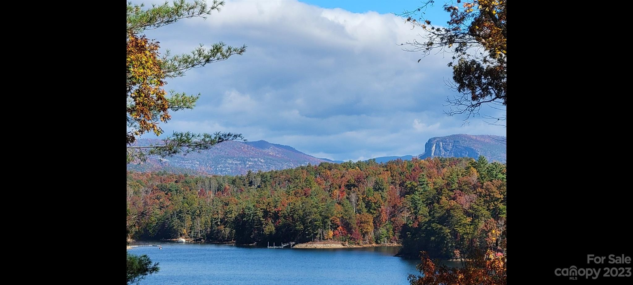 Old Wildlife Club - Residential