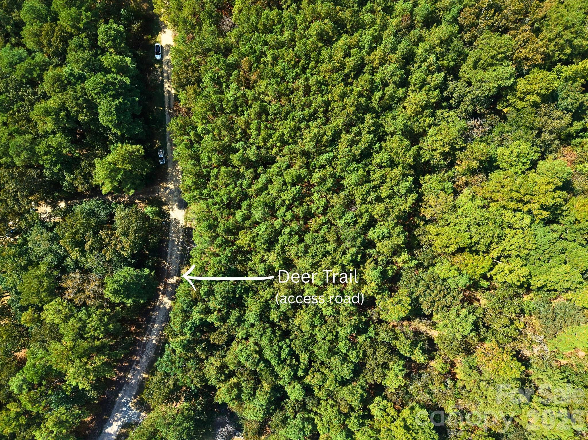 00-00 Deer Trail LOT 39