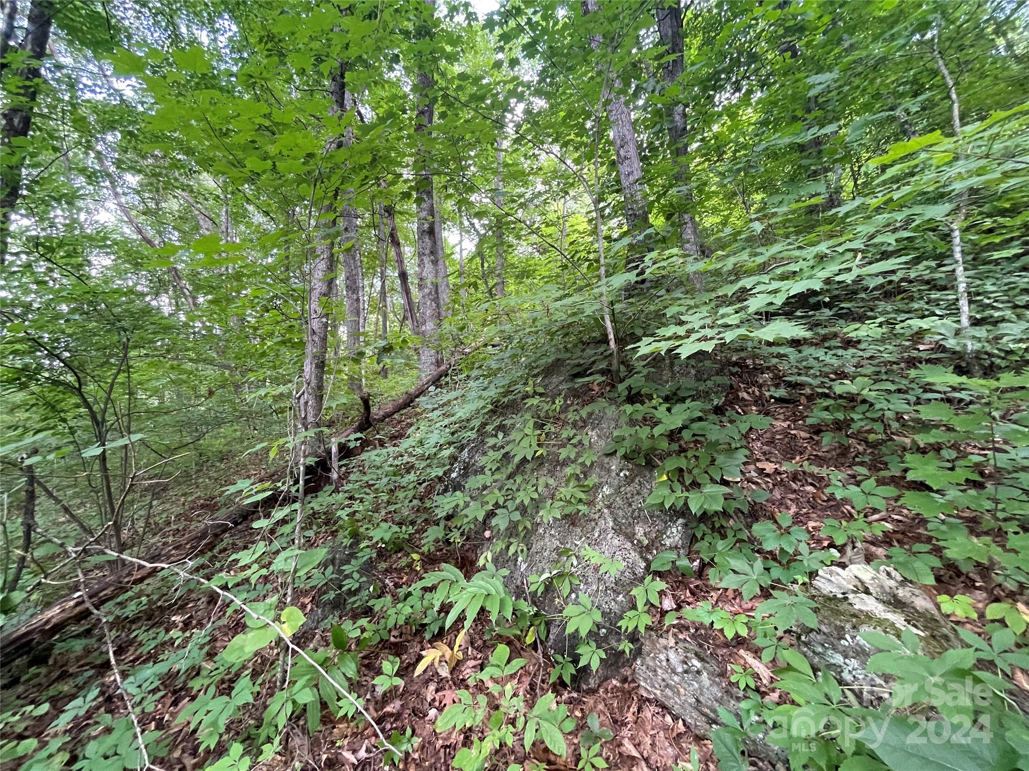 Friendly Acres - Land