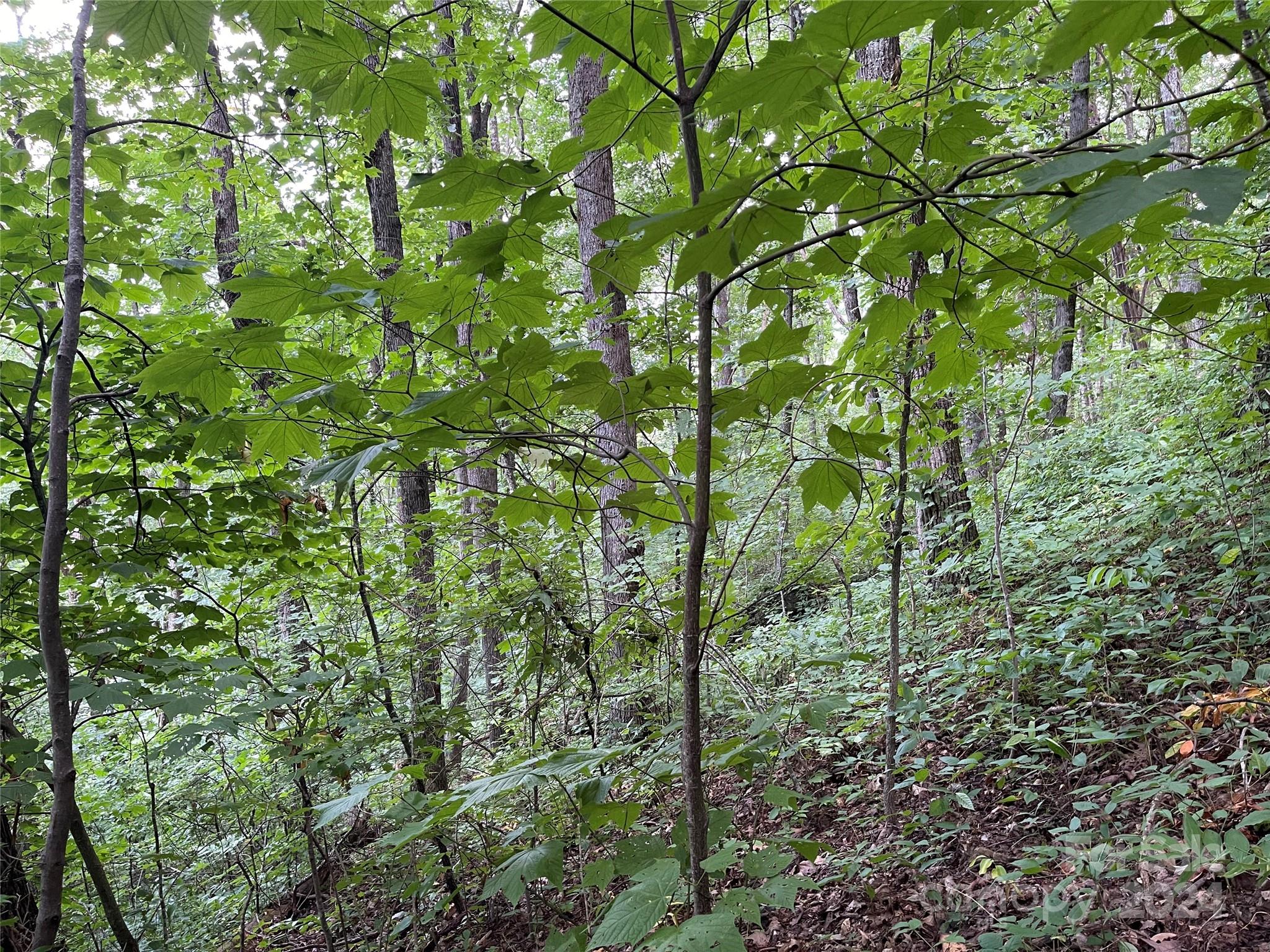 Friendly Acres - Land