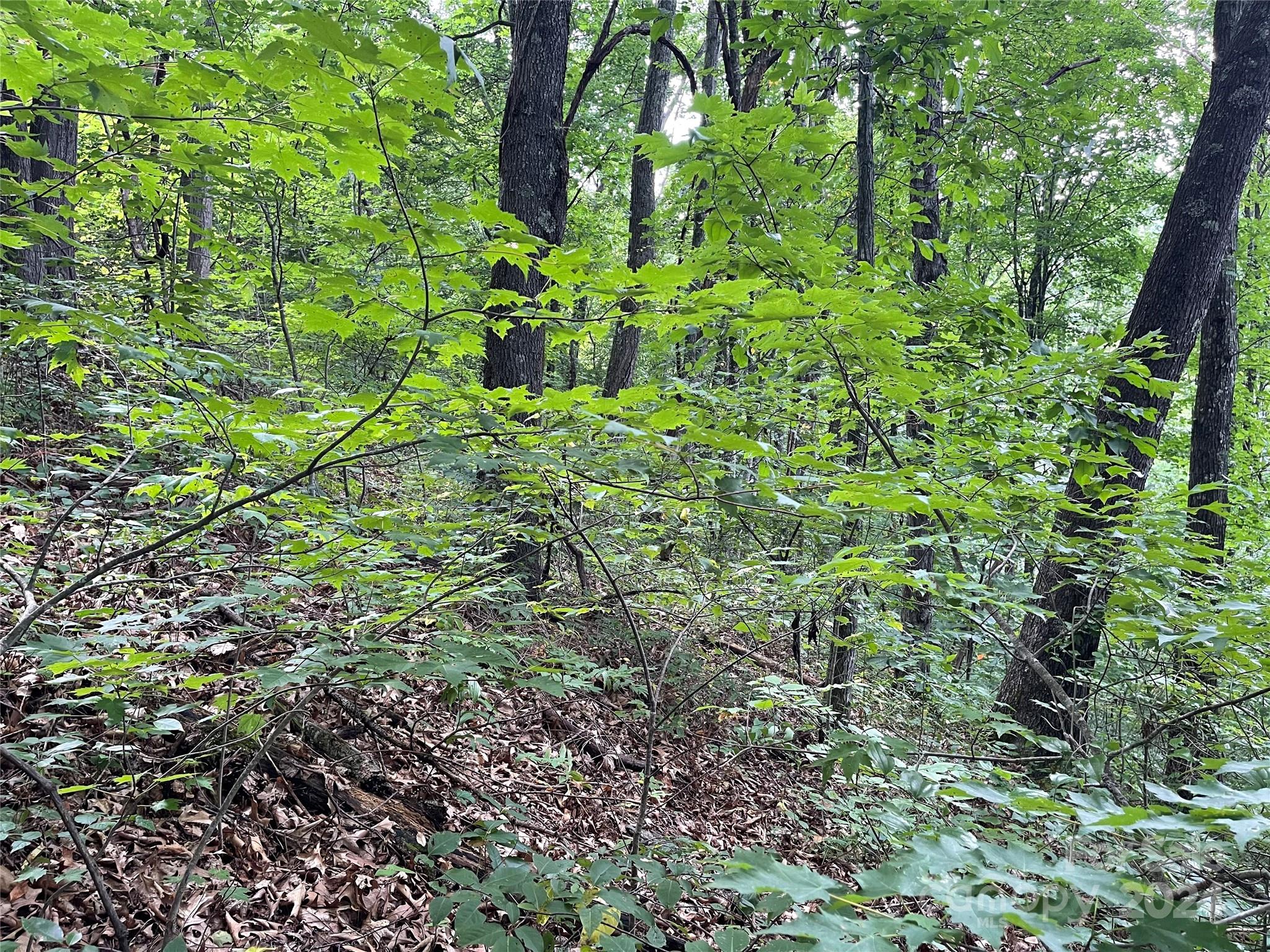 Friendly Acres - Land