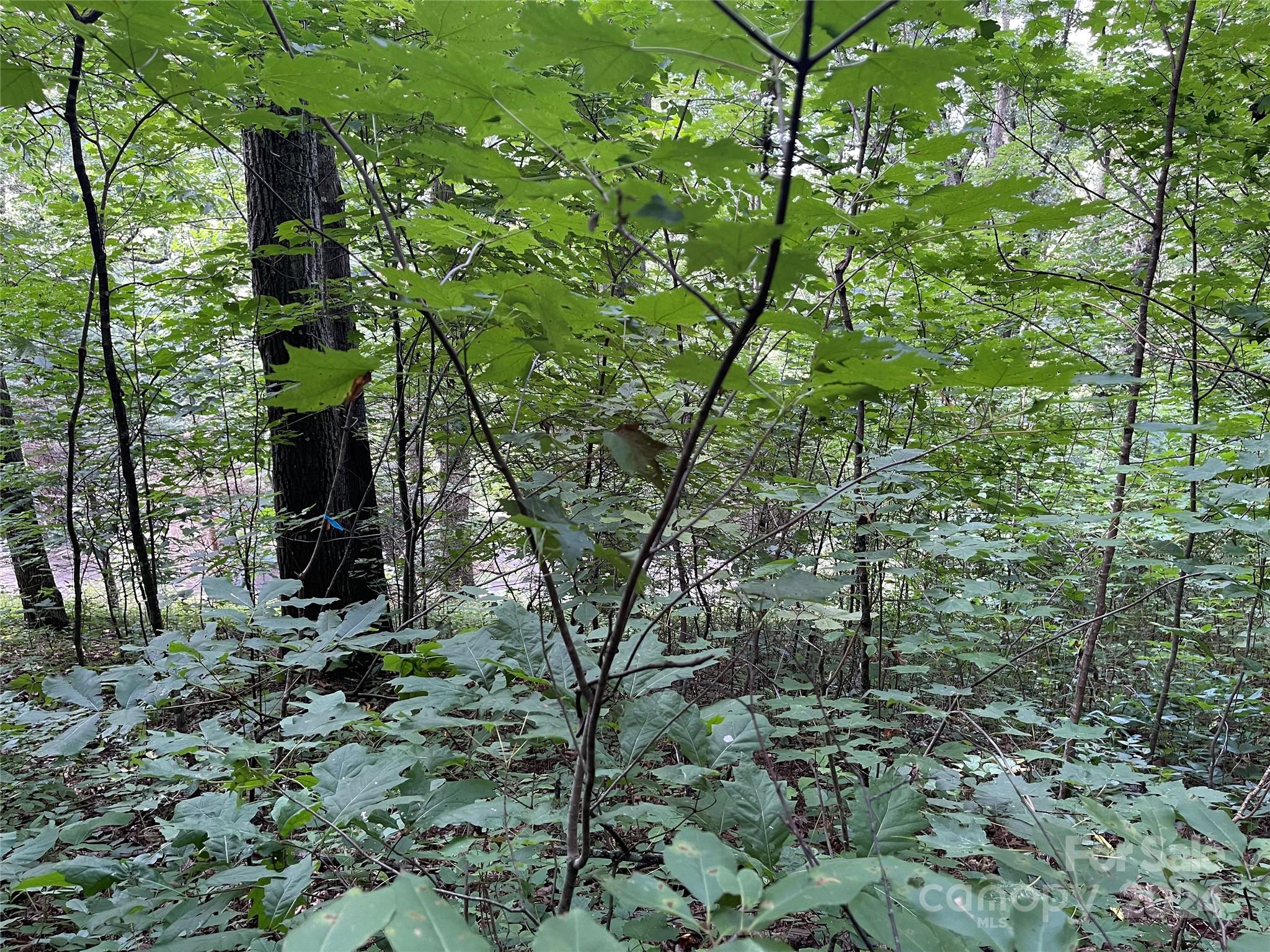 Friendly Acres - Land