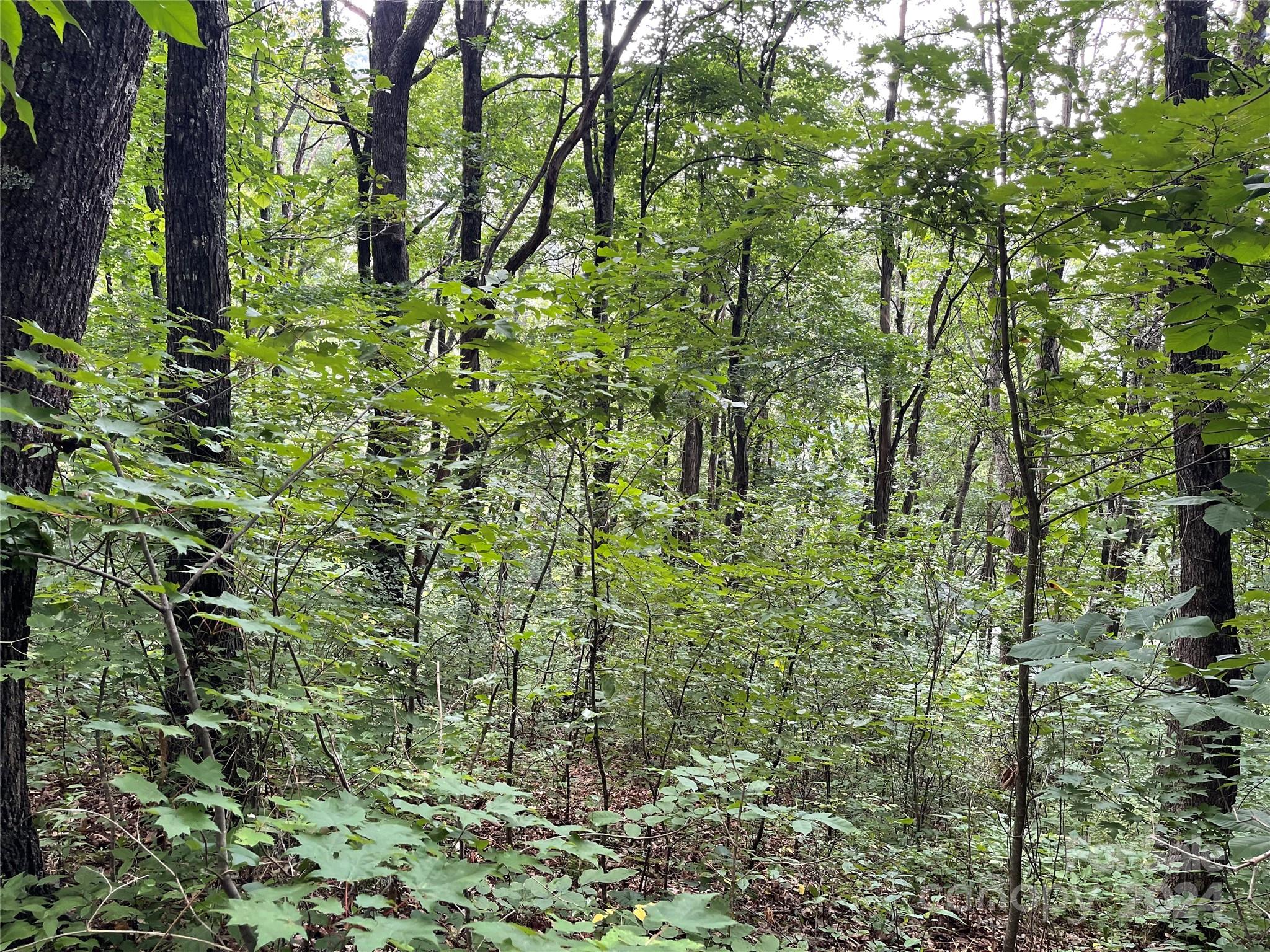 Friendly Acres - Land