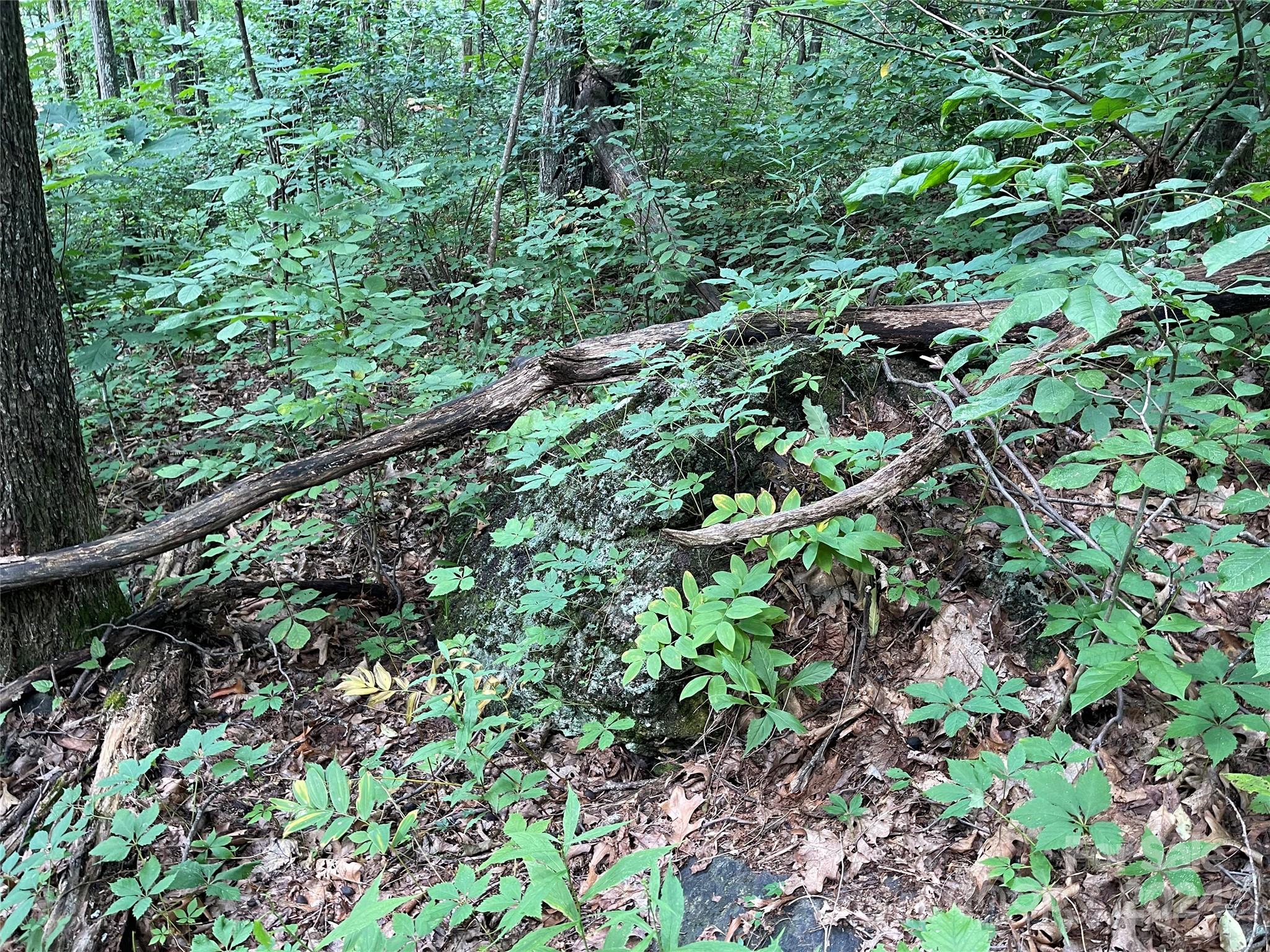 Friendly Acres - Land