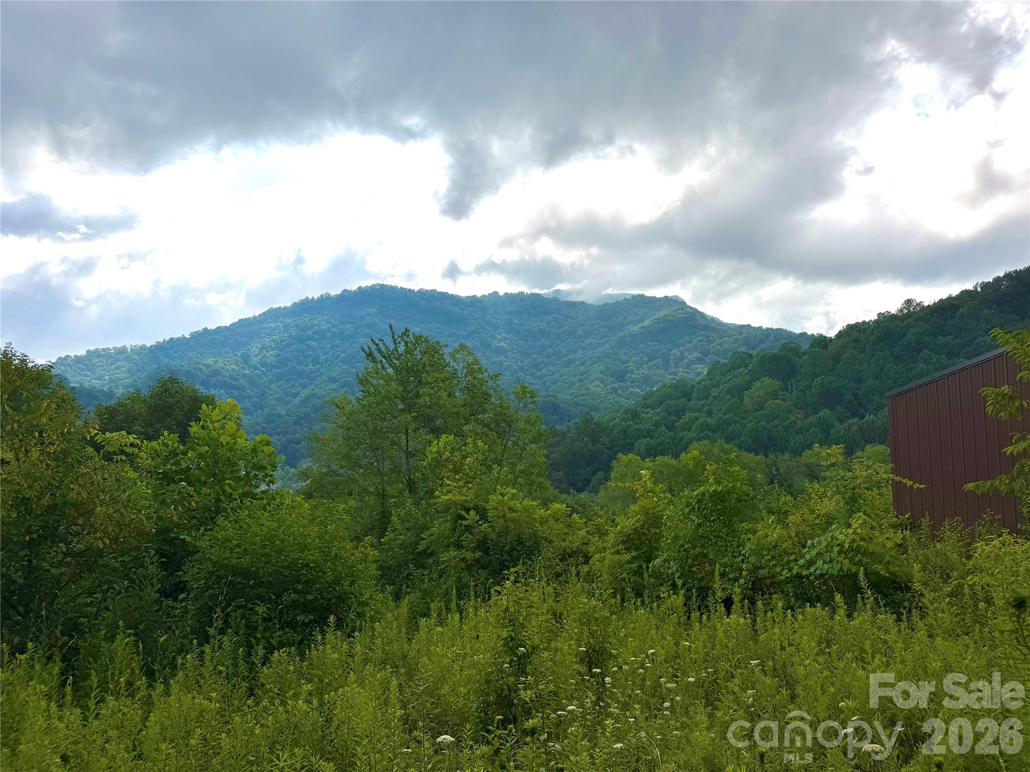 00 Trillium Way, Clyde, NC, 28721