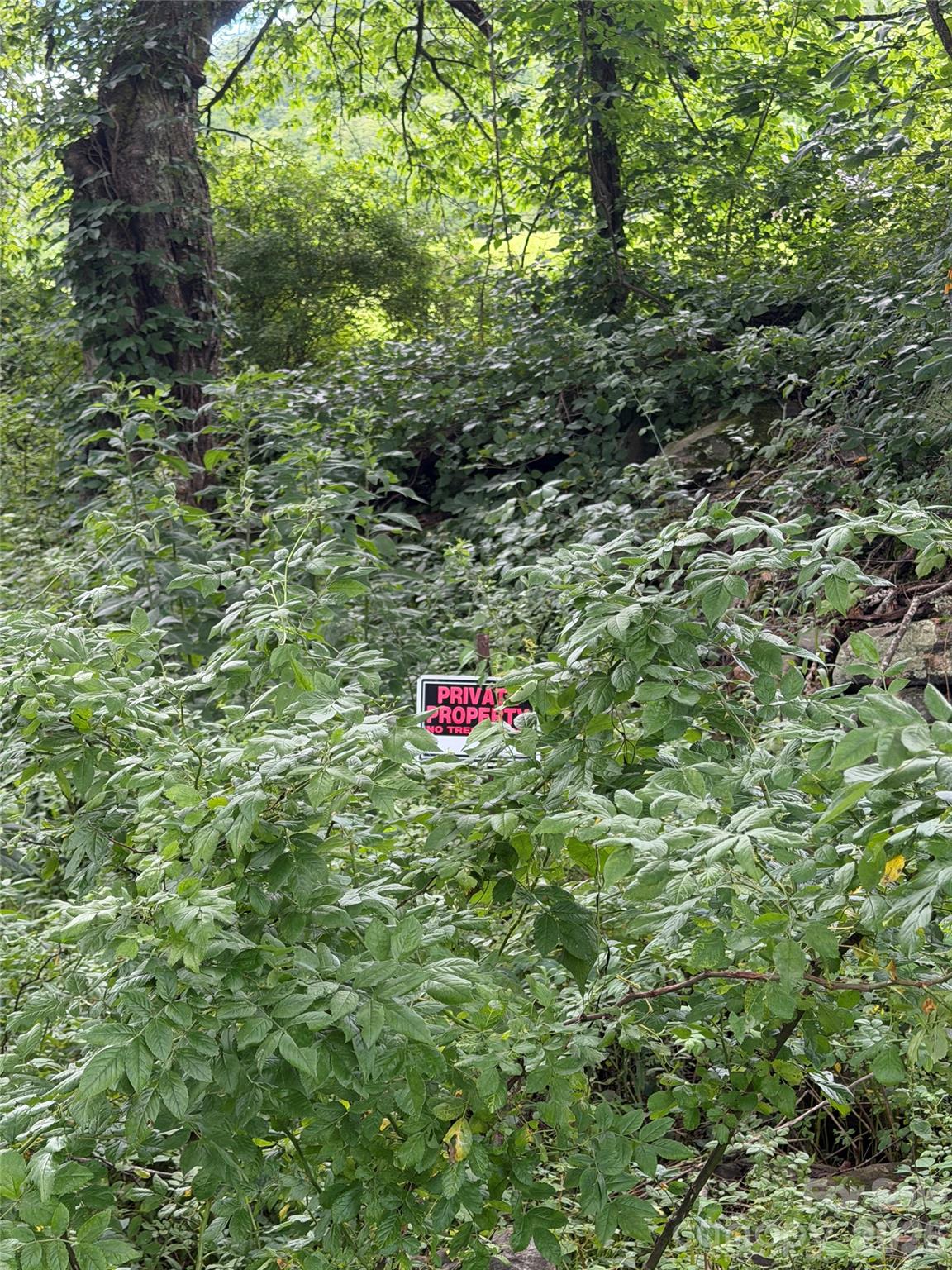 00 Trillium Way