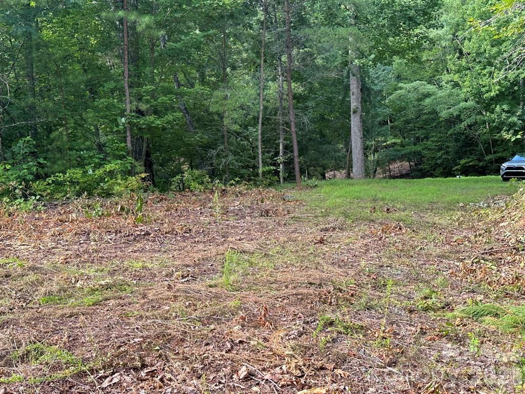 87-3 Eagles Flight None