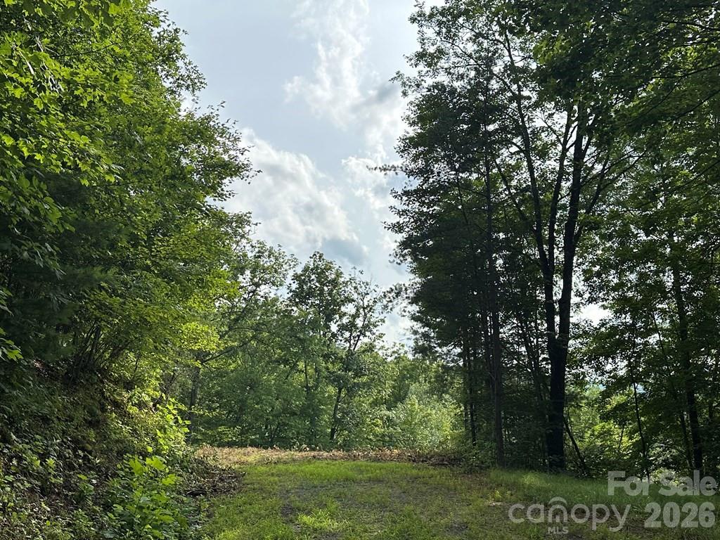 87-3 Eagles Flight None