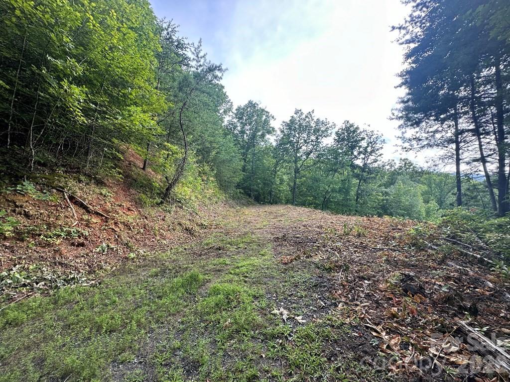 87-3 Eagles Flight None