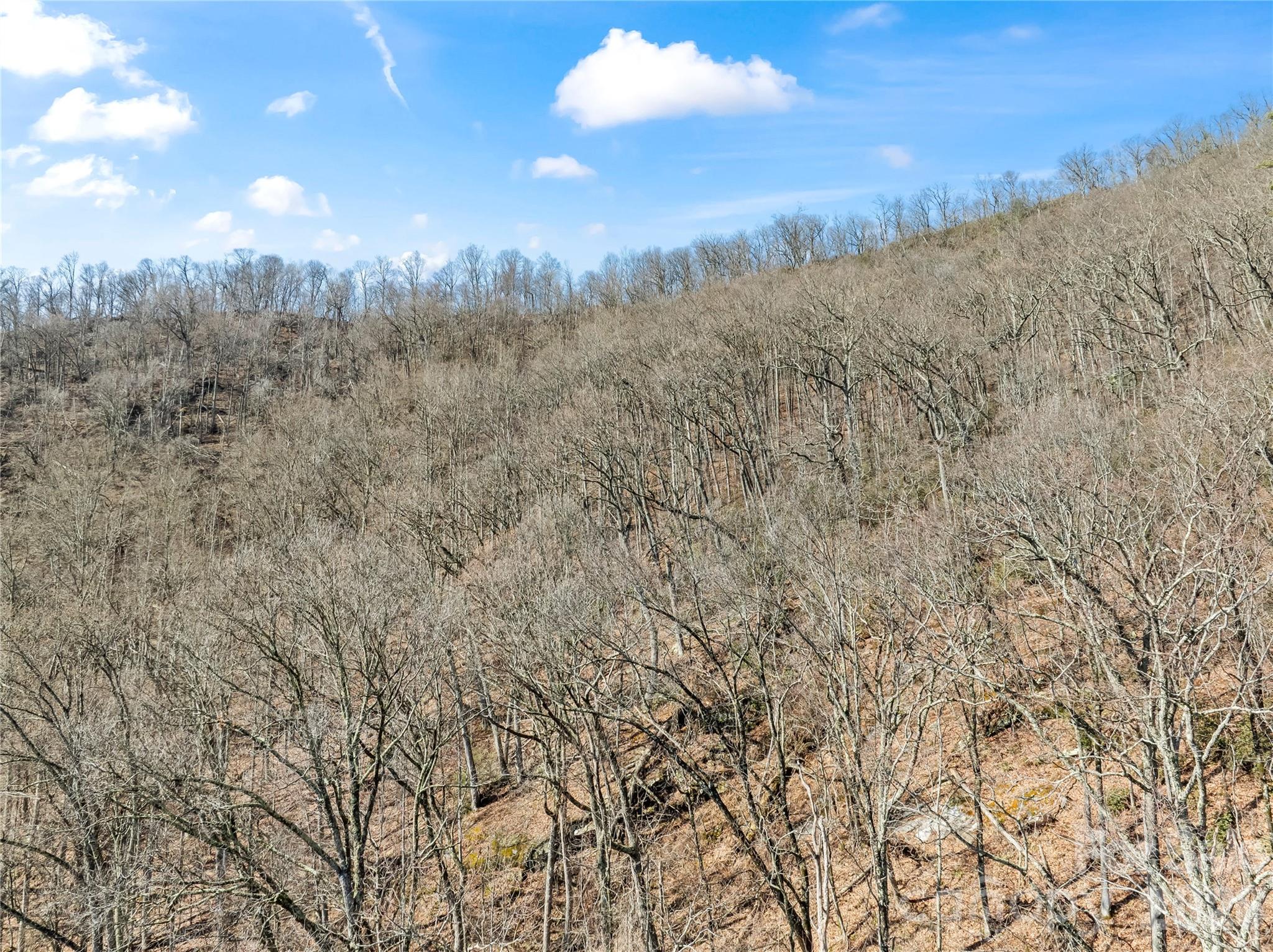 Greenridge Falls - Land