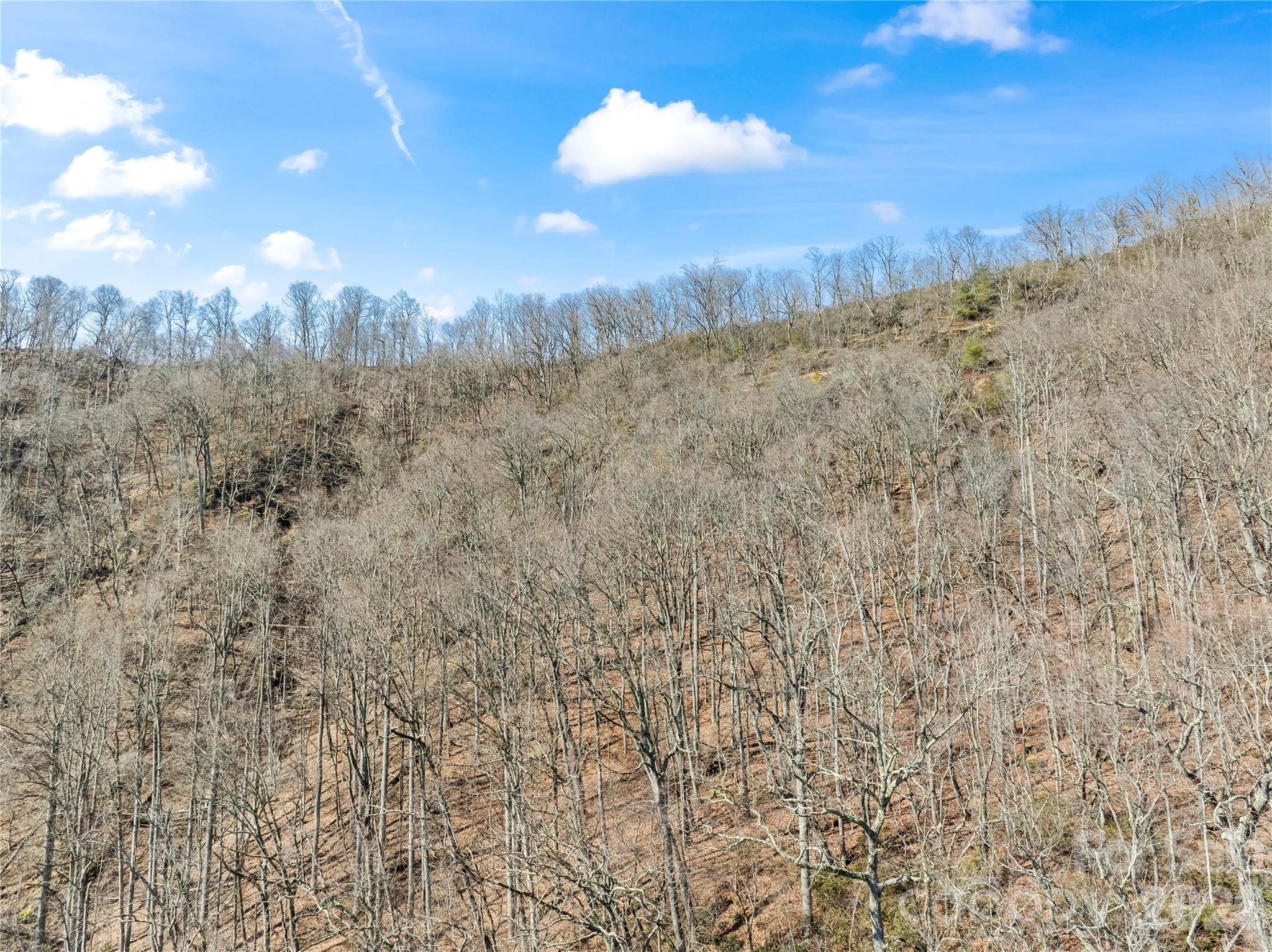 31 Reillys Bluff Road 2