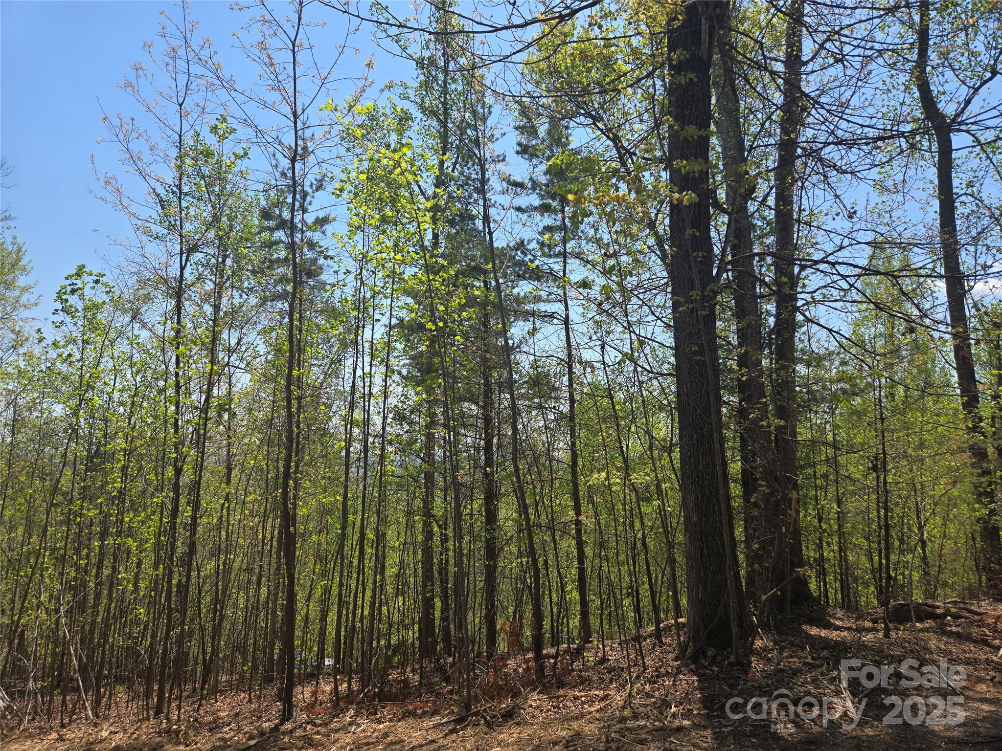 Lot 32 High Rock Ridge