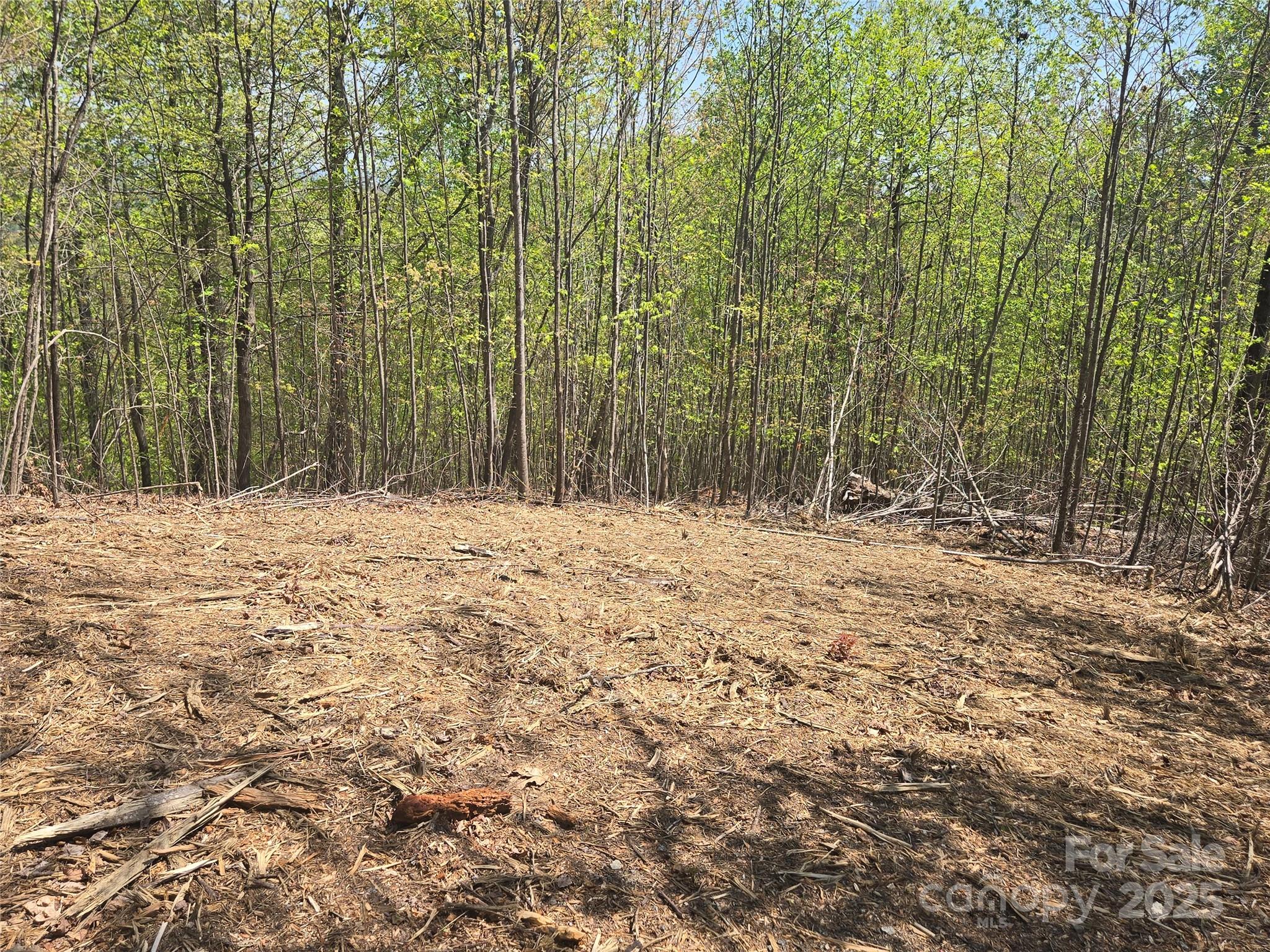 Rumbling Bald on Lake Lure - Land