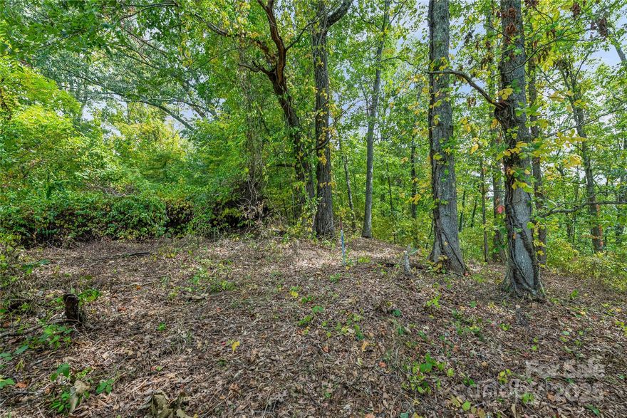 “It’s so peaceful up here.”
This ridge-line lot feels private and pristine, yet it’s remarkably easy to reach. A level building site is ready for your dream home, with underground utilities, a cleared path, and healthy trees all around.

Access is simple—an easy climb for any vehicle—and once you’re here, the views are stunning: currently a 280° winter panorama, with the option to spindle trees for even broader year-round vistas.

The HOA is present but low-key, just $600/year for road upkeep, signage, and maintenance. You’ll love the gorgeous drive in, and you’re only about 10 minutes from I-26.

3 acres. Quiet. Accessible. Scenic.
This is the land you’ve been dreaming about.
