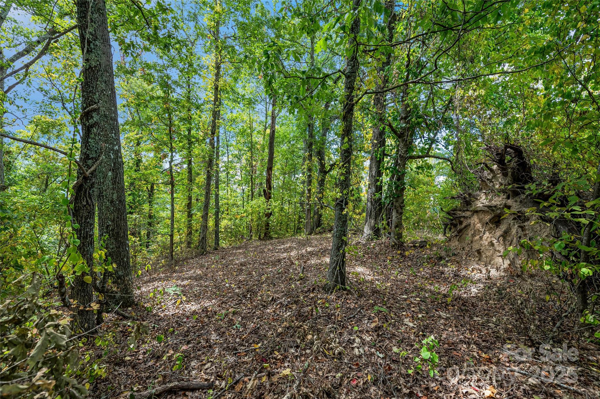 1380 Seven Glens Drive