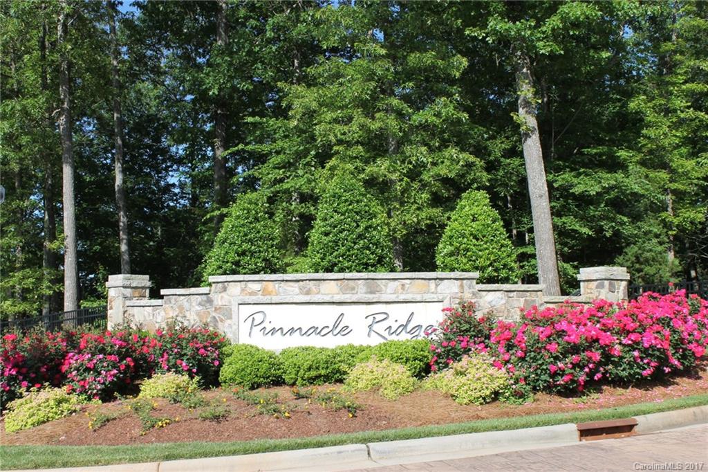 Pinnacle Ridge - Land