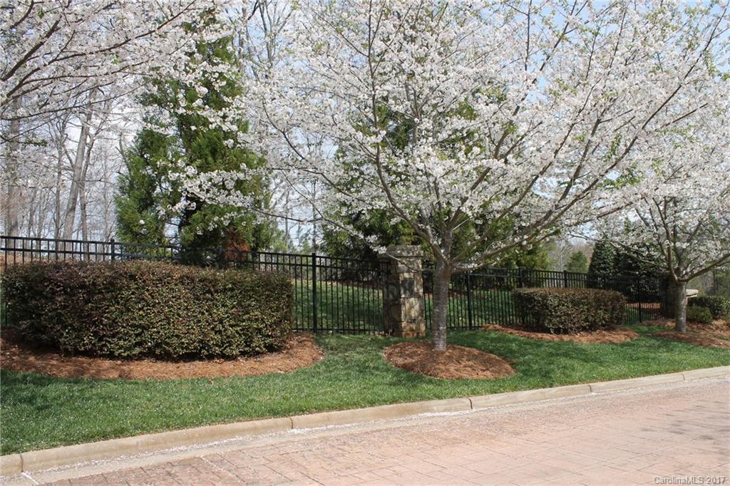 Pinnacle Ridge - Land