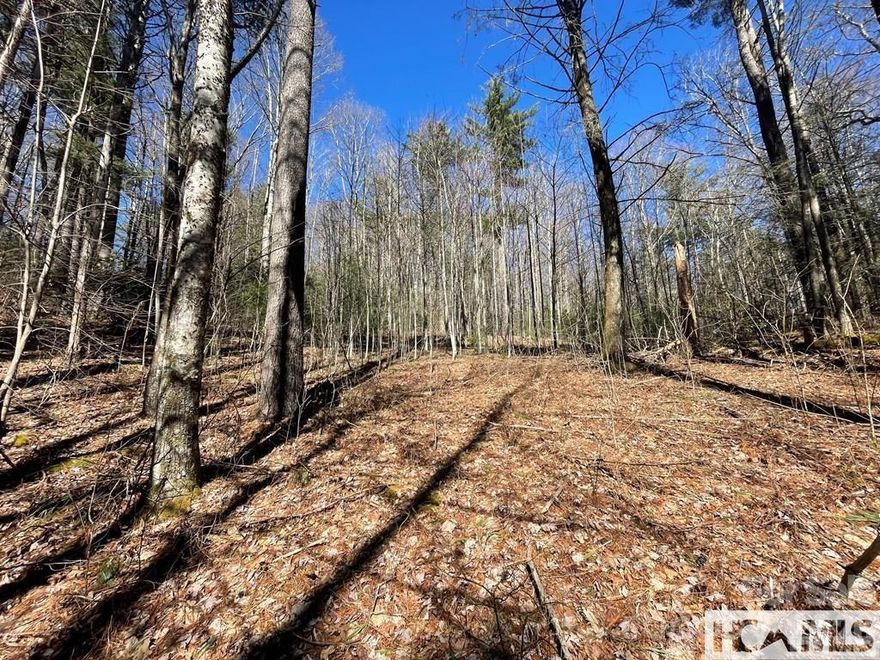 Only 8 minutes from the heart of Cashiers, this serene south-facing lot adjoins the Nantahala National Forest, offering direct access to logging roads and hiking trails right out your doorstep. With selective clearing, enjoy beautiful view potential of Terrapin Mountain. This property is ready for your dream mountain home: Driveway installed and majority of homesite clearing already complete. Deep well drilled and in place. Fiber optic internet available. Expired septic permit on file with Jackson County Health Department. Found Forest now features recently paved roads, making access easy and enjoyable year-round. With its natural privacy, forest access, and build-ready improvements, this lot offers the perfect balance of convenience and seclusion.