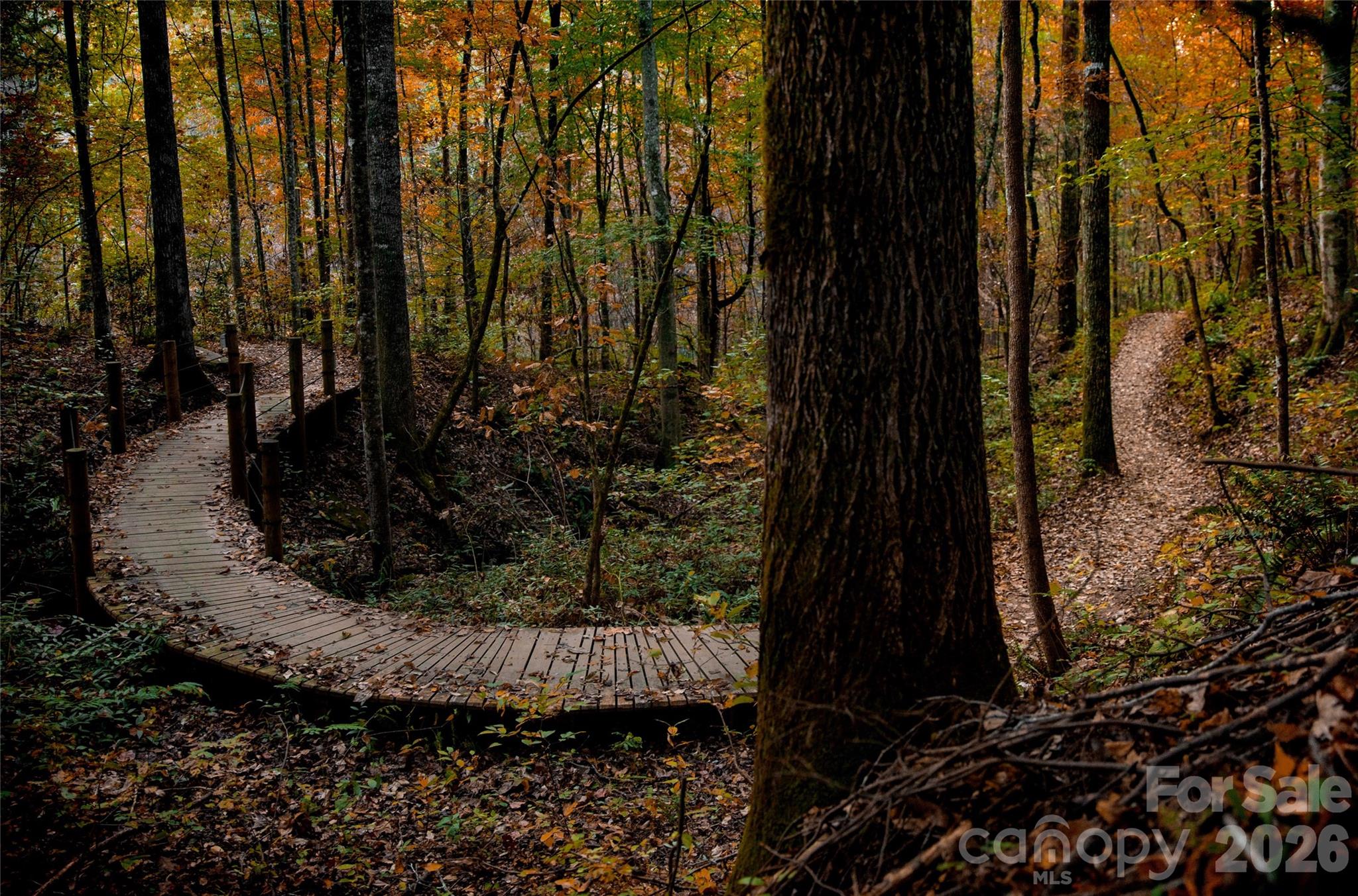 Rumbling Bald on Lake Lure - Land