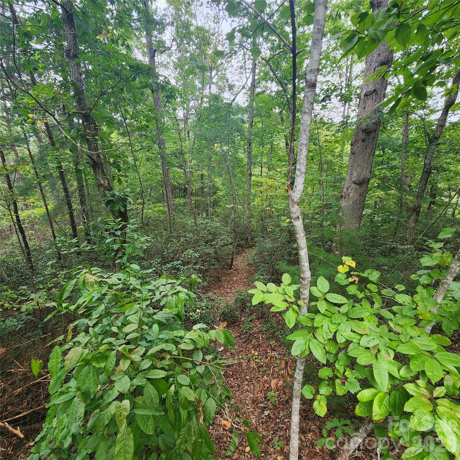 Lot 11 Waterside Drive