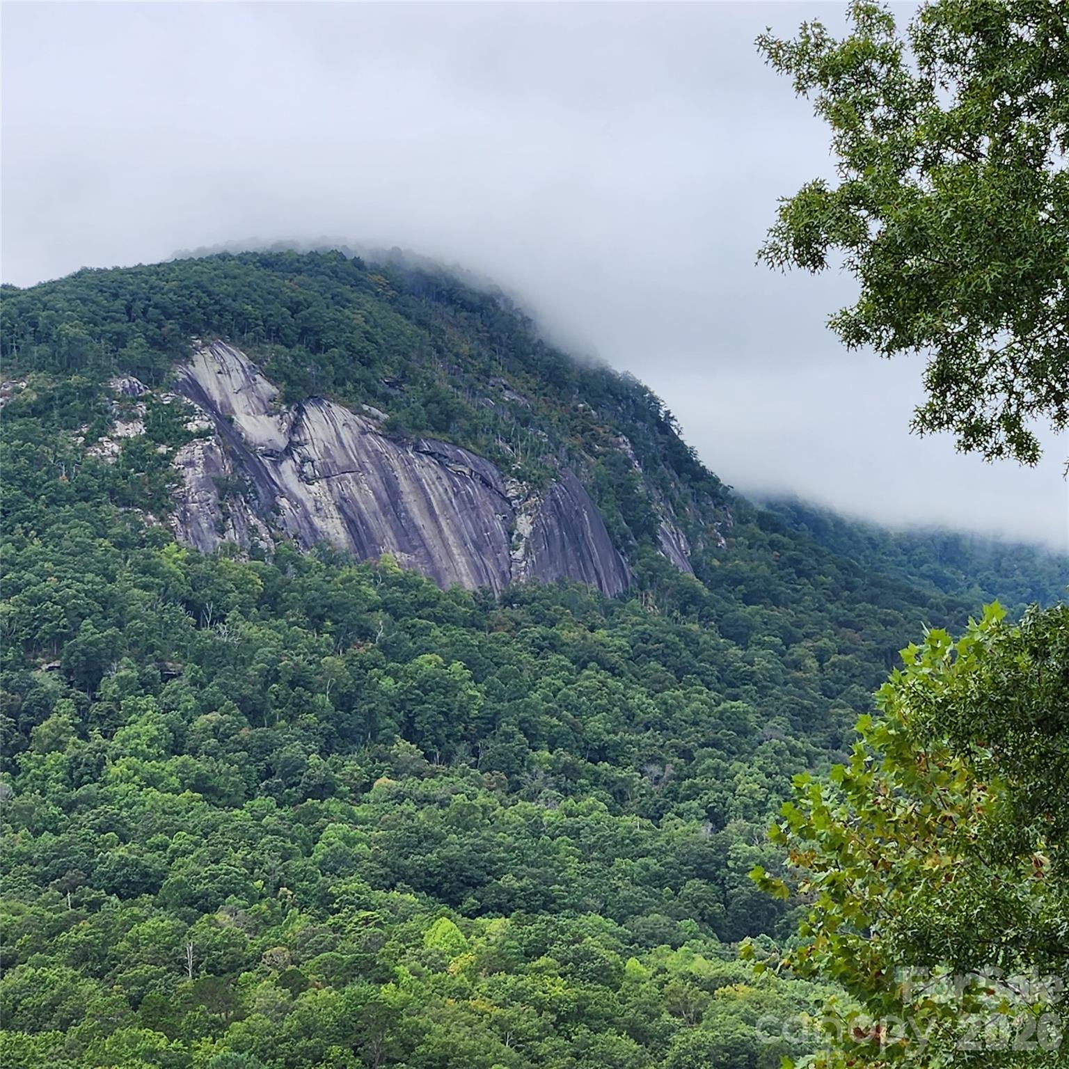 Rumbling Bald on Lake Lure - Land