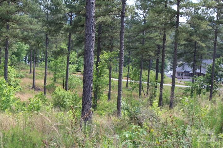 The Waterfront Club - Land