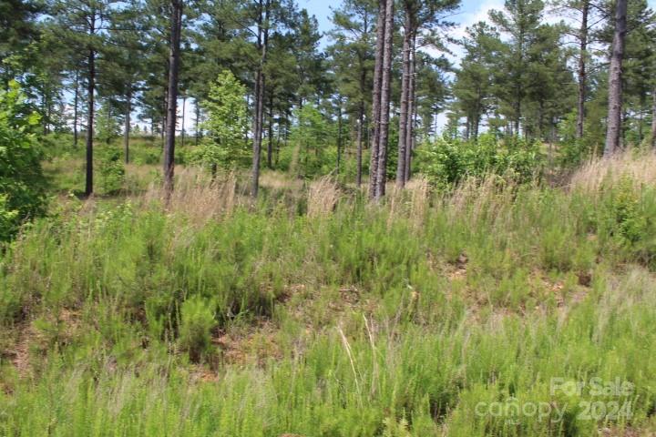 The Waterfront Club - Land