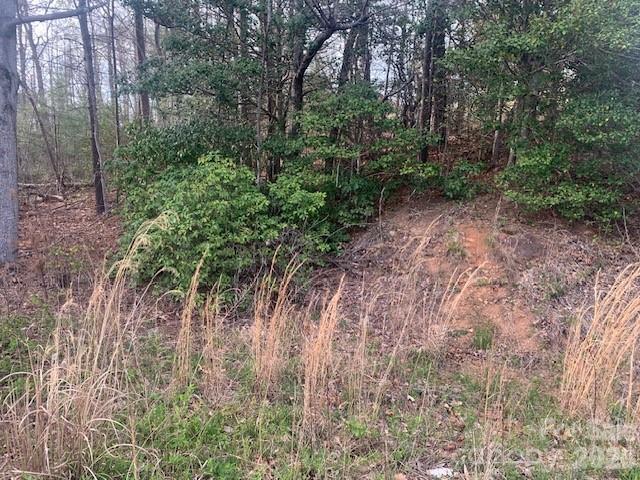 1.0AC HOLBERT COVE Road 2