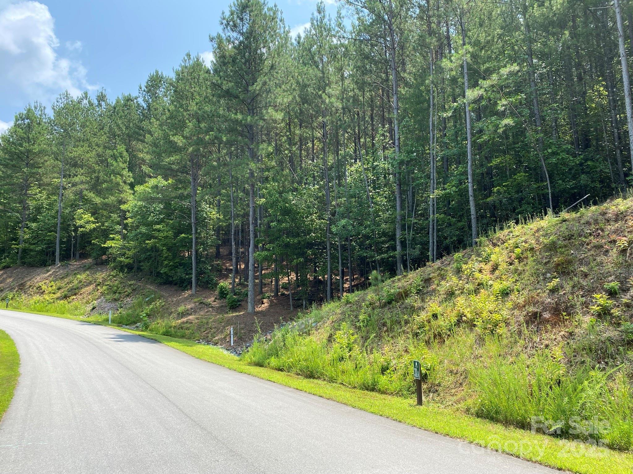 Lake Rhodhiss Estates - Land