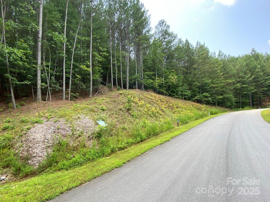 Reduced! Now Priced $5,000 below tax value, this property represents outstanding value in a sought-after lake-area community. Agent is owner and motivated to sell, offering a great opportunity for buyers ready to act. This .50 -acre lot offers the ideal setting to build your custom home while enjoying scenic surroundings.

Residents enjoy access to a community dock and boat launch, making lake days effortless. The neighborhood’s rooftop pavilion is a true highlight—featuring a grill, seating, and covered outdoor space below, all designed for gatherings and relaxation. From the rooftop, take in beautiful long-range mountain views, creating a breathtaking backdrop for sunsets, entertaining, or quiet moments outdoors. Additional amenities include tables and chairs, cornhole, and horseshoes for casual fun with friends and neighbors. Not to mention a community Garden!

City water and sewer but will likely need a grinder pump.  Underground utilities and fiber optics.