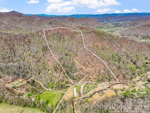 183 Stoney Fork Road Barnardsville NC 28709