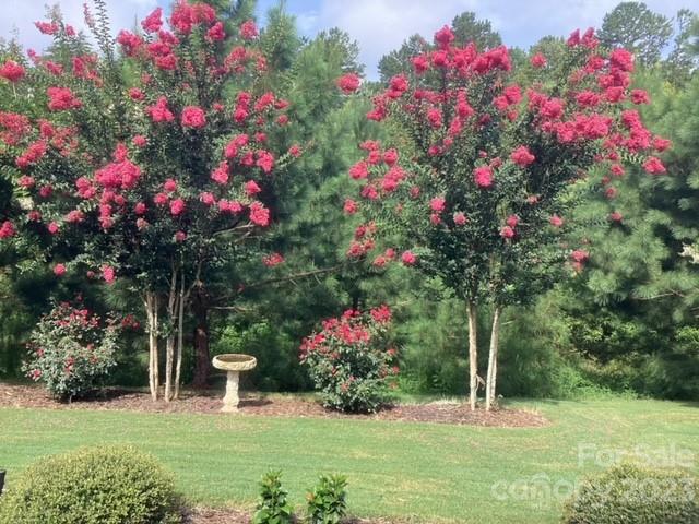 Tree Tops - Residential