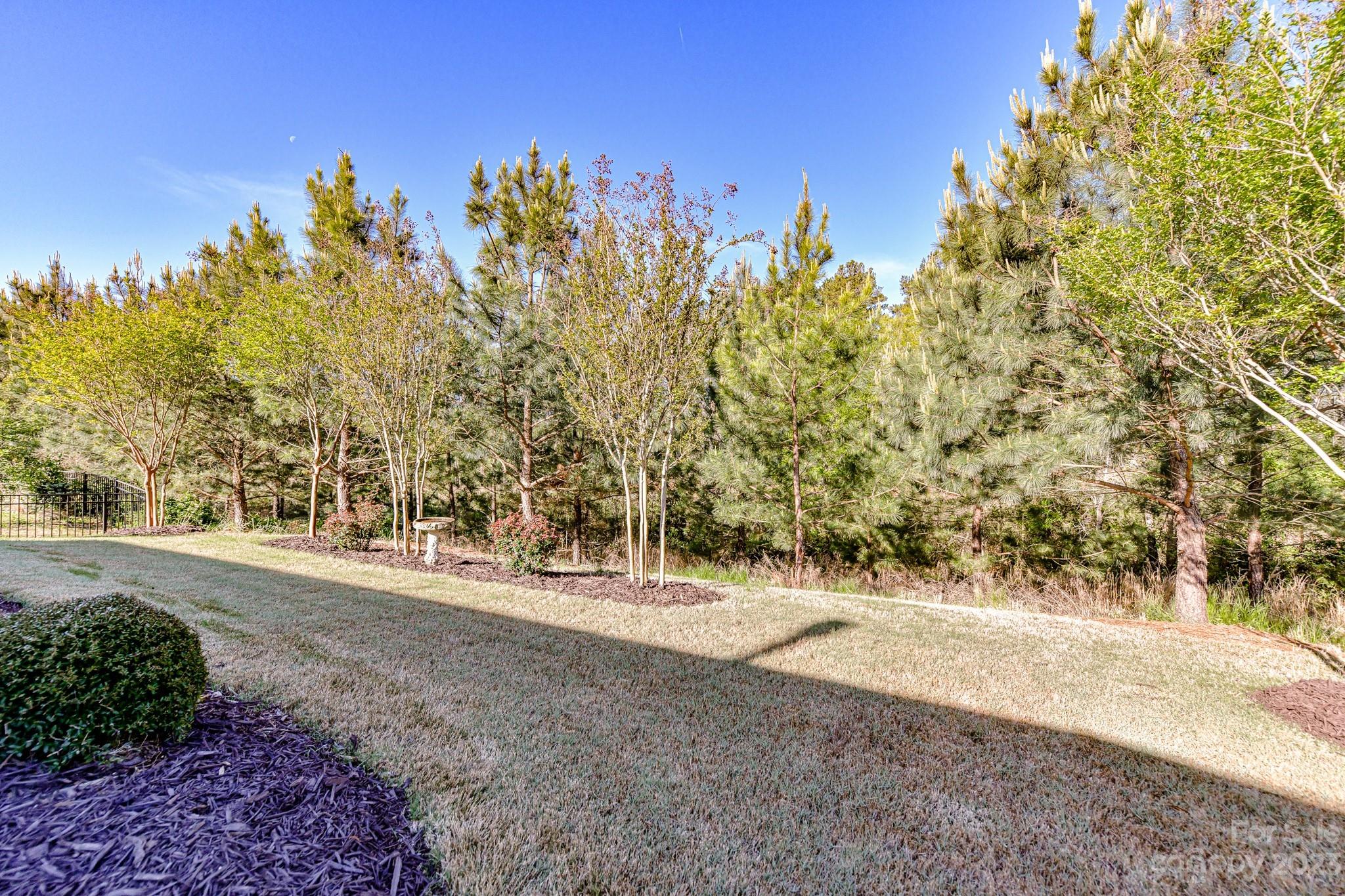 Tree Tops - Residential