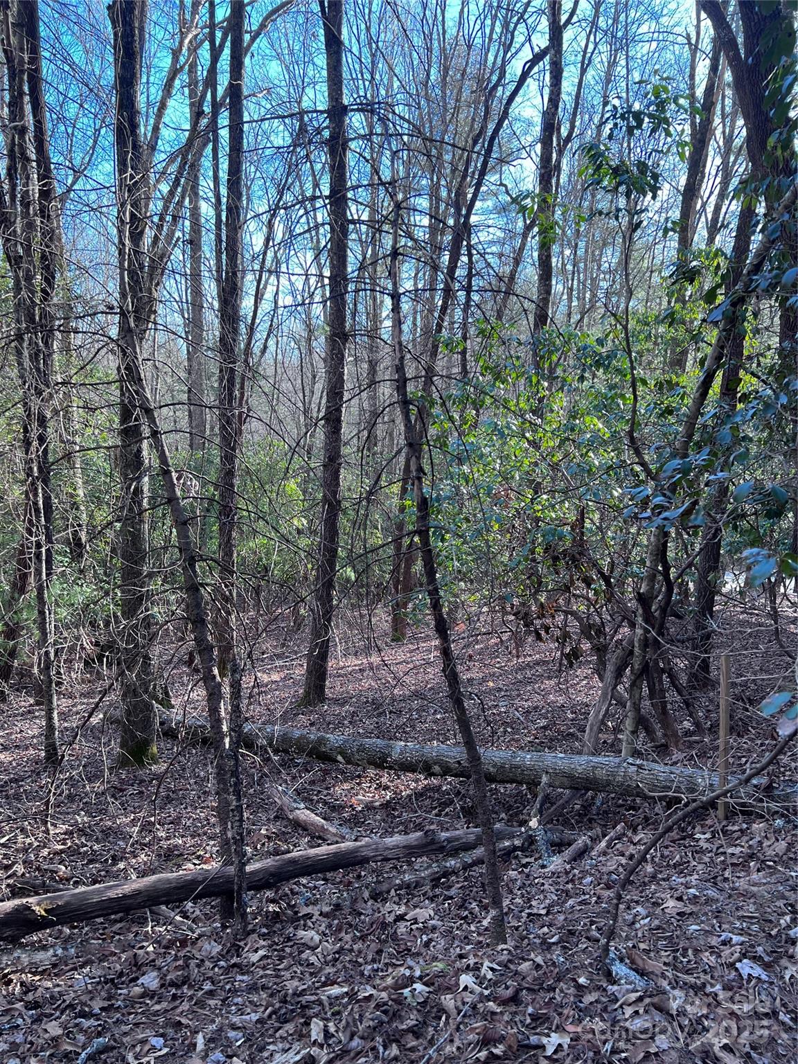 Connestee Falls - Land