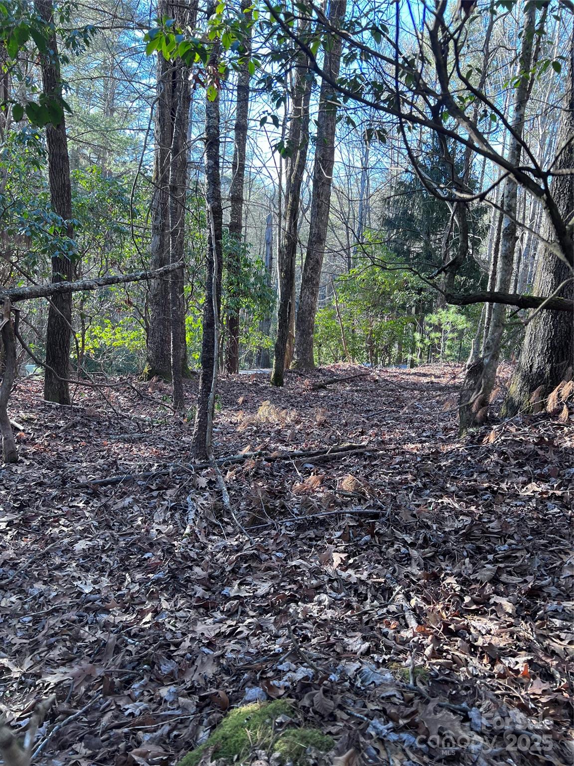 Connestee Falls - Land