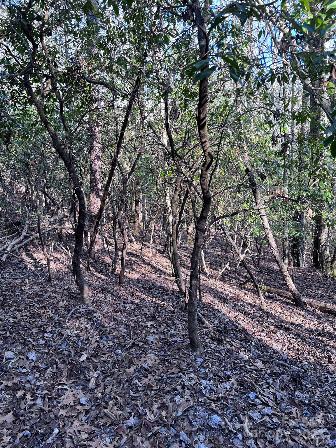 Connestee Falls - Land