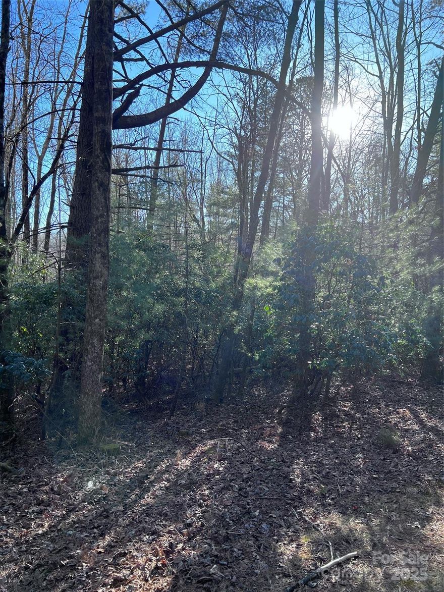 Come live the mountain life you've always dreamed of in the highly sought-after Connestee Falls community! This buildable lot is the perfect opportunity to create your dream home while enjoying incredible amenities, including a clubhouse, scenic walking trails, a pristine lake, pickleball and tennis courts, a golf course, and more. Just minutes from downtown Brevard, you'll have the best of both worlds peaceful mountain living with convenient access to shops, dining, and outdoor adventures. Don’t miss your chance to be part of this vibrant gated community!