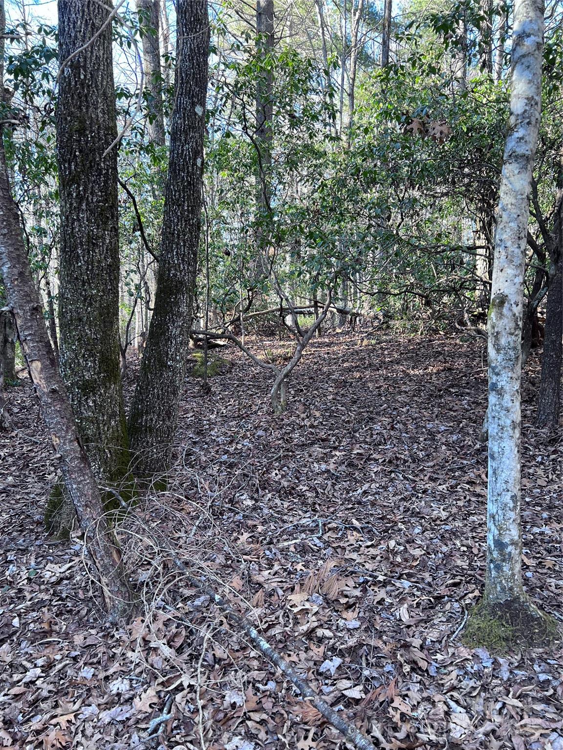 Connestee Falls - Land