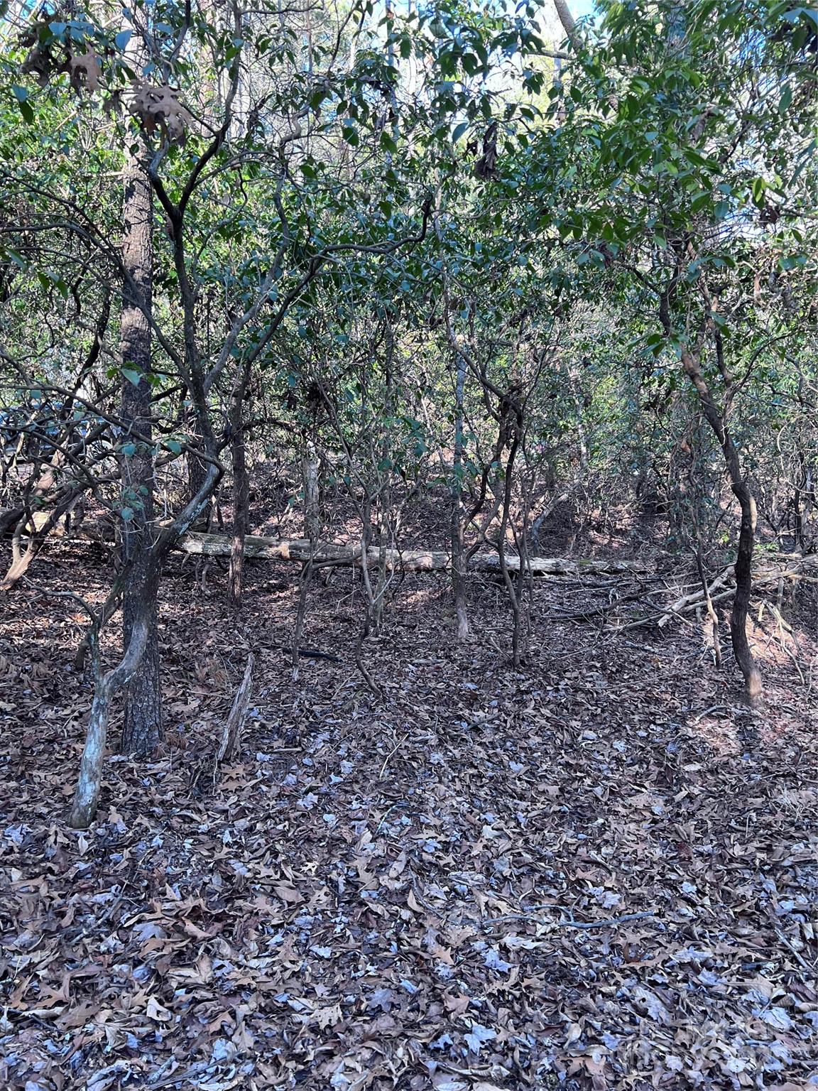 Connestee Falls - Land