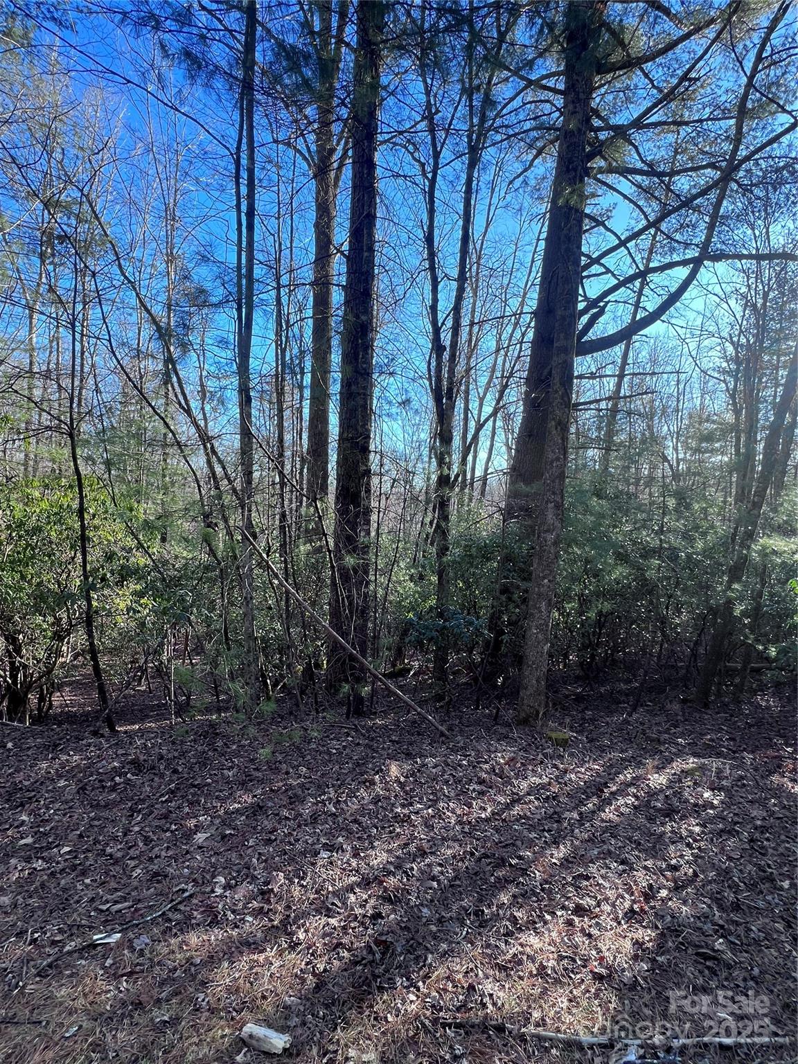 L26 Konnaneeta Trail U03 L026