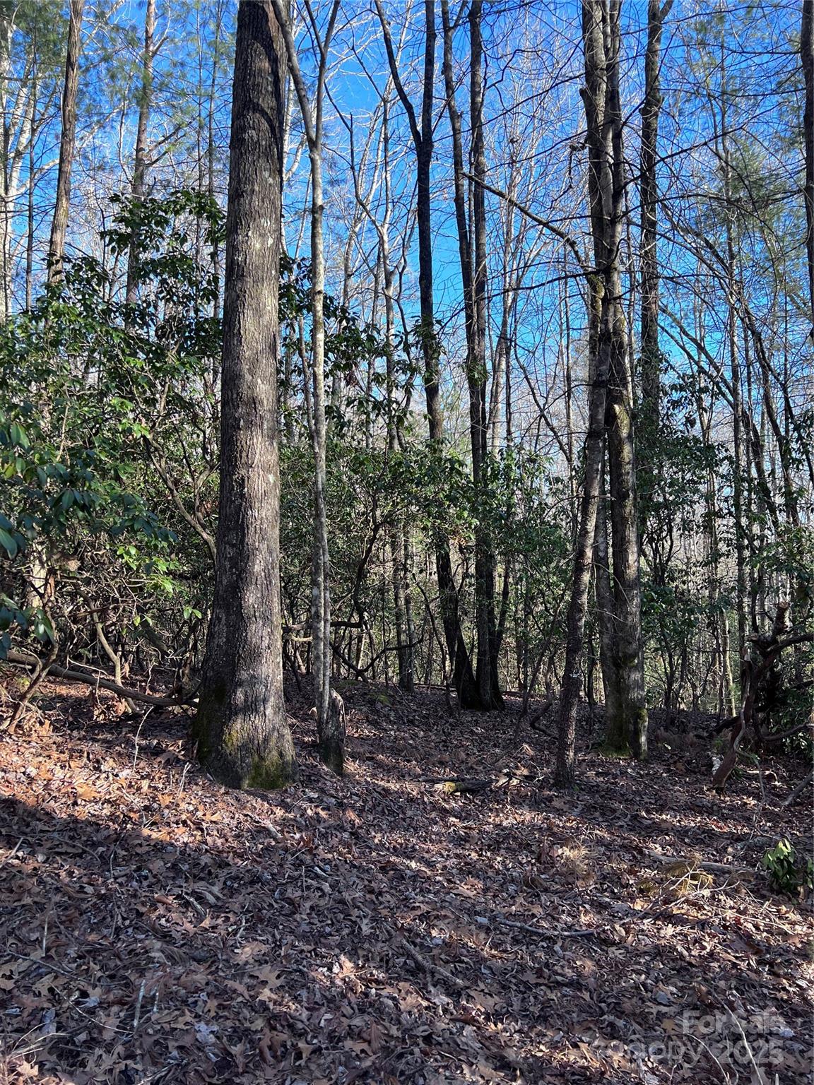 L26 Konnaneeta Trail U03 L026
