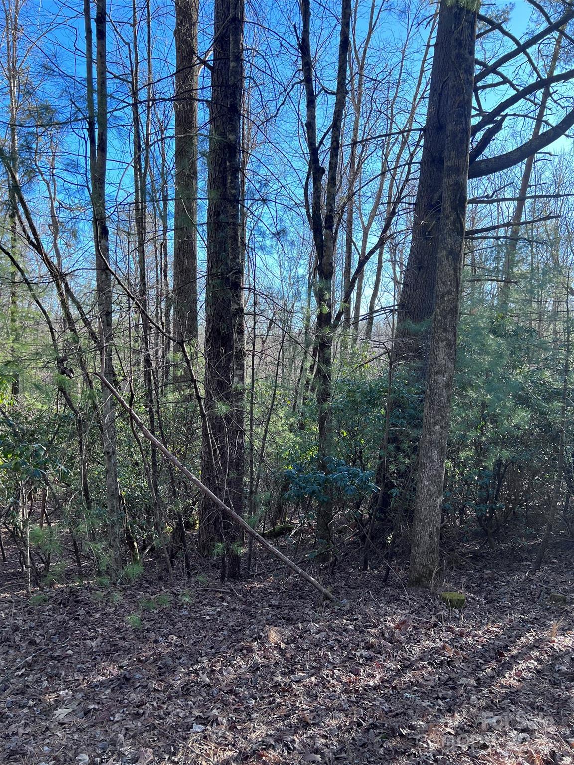 L26 Konnaneeta Trail U03 L026