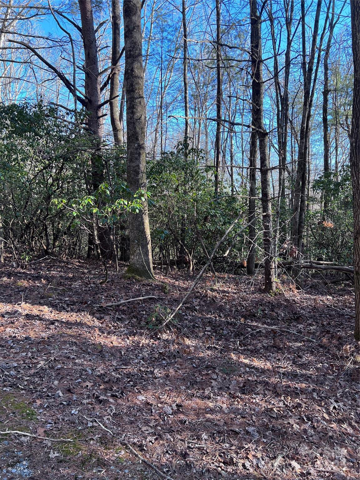 Connestee Falls - Land