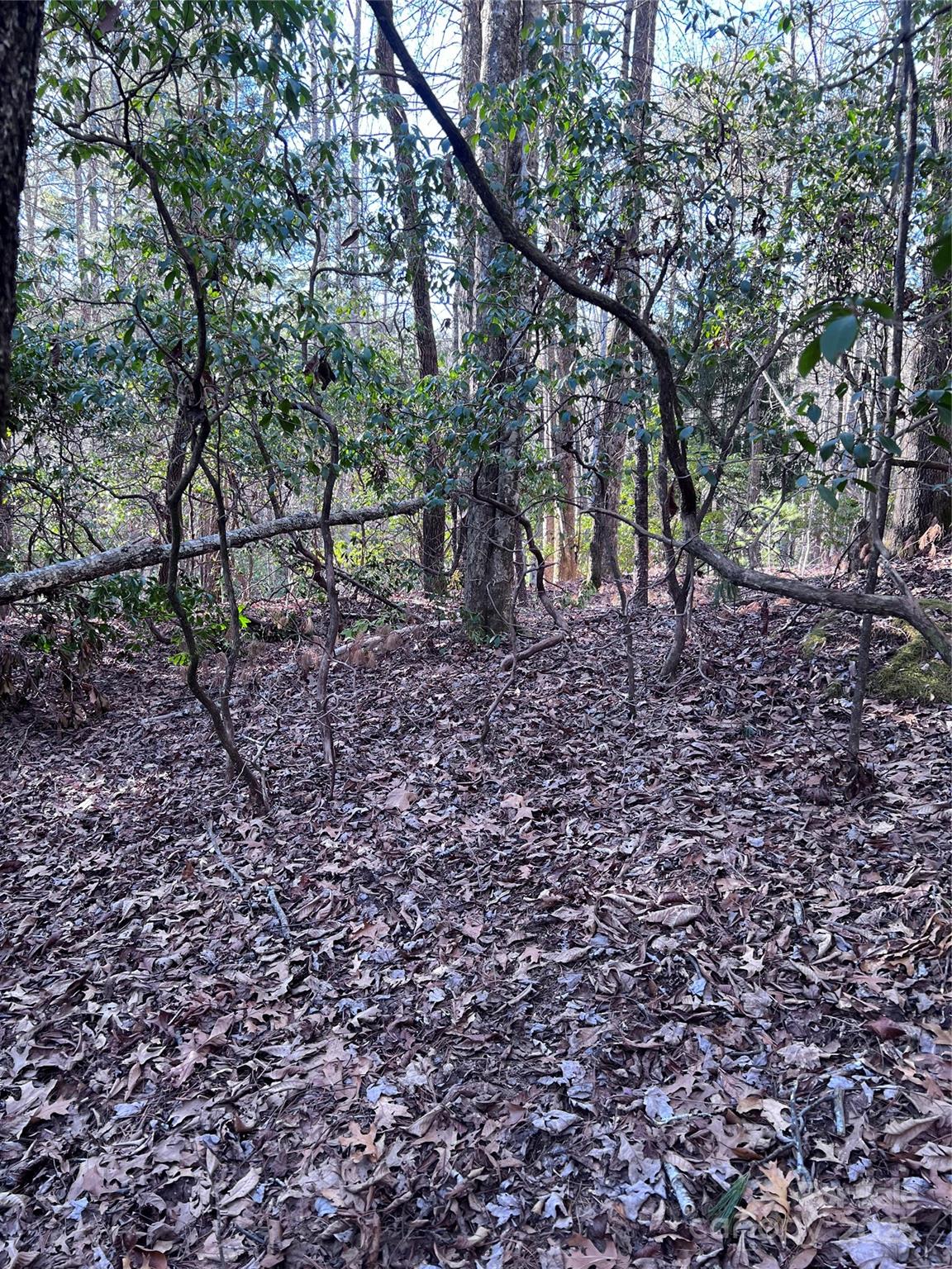 Connestee Falls - Land